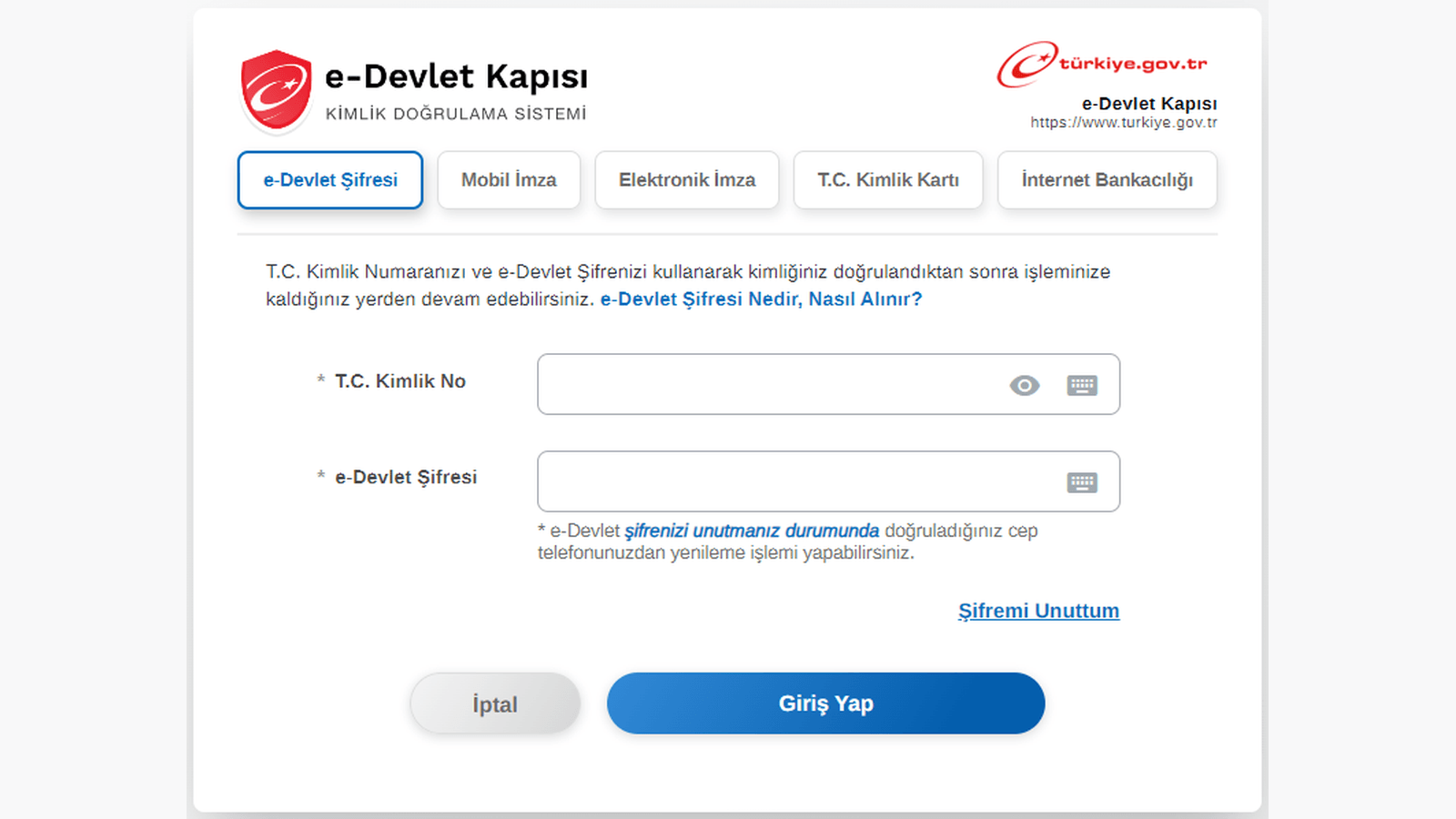 e-Devlet'e Giriş İçin Gerekli Erişimi Hazırlayın